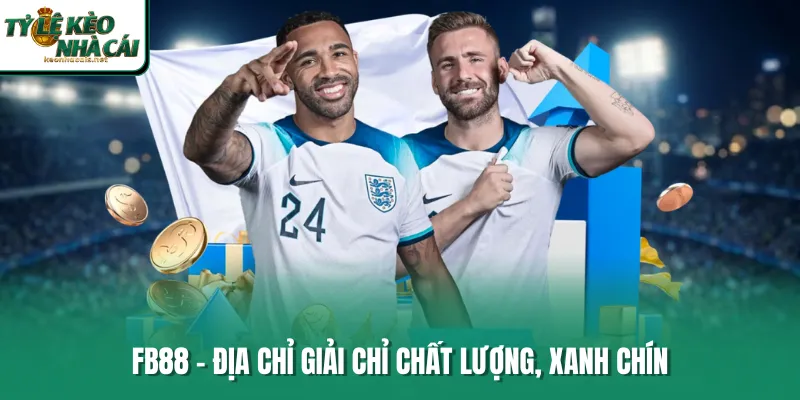 FB88 - Địa chỉ giải chỉ chất lượng, xanh chín