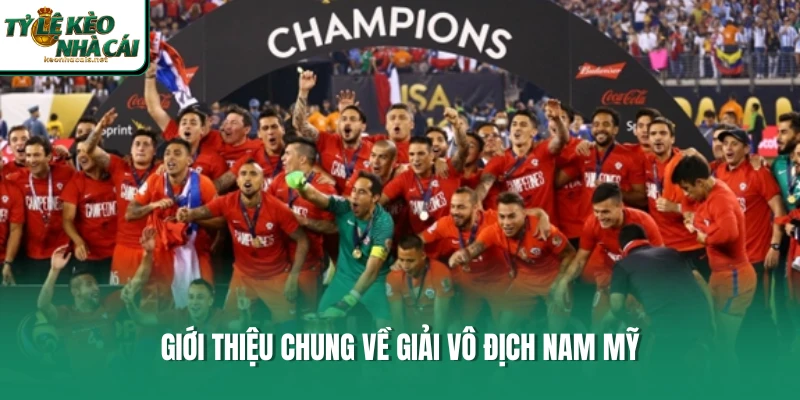 Giới thiệu chung về giải vô địch Nam Mỹ 