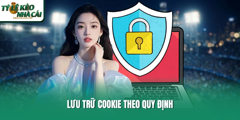 Lưu trữ cookie theo quy định
