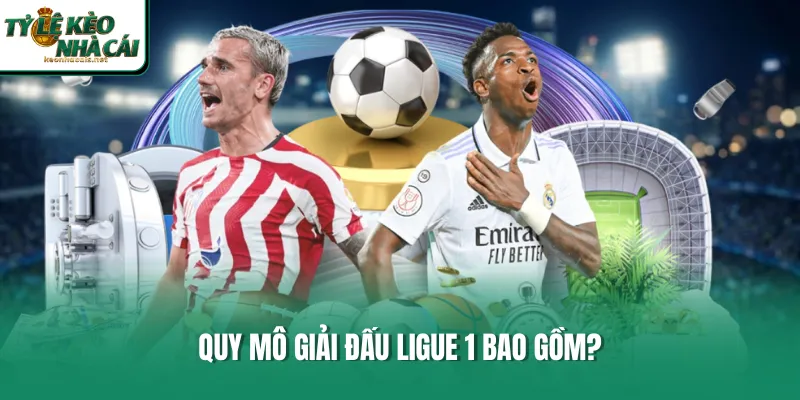 Quy mô giải đấu Ligue 1 bao gồm? 
