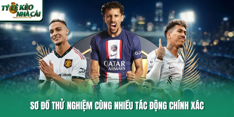 Sơ đồ thử nghiệm cùng nhiều tác động chính xác