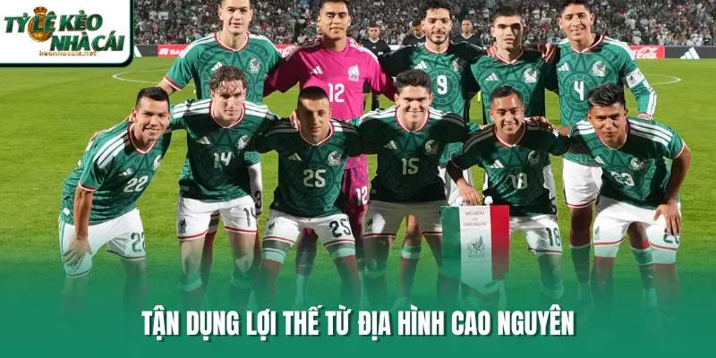 Tận dụng lợi thế từ địa hình cao nguyên