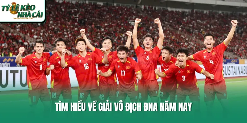Tìm hiểu về giải Vô địch ĐNA năm nay