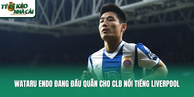 Wataru Endo đang đầu quân cho CLB nổi tiếng Liverpool
