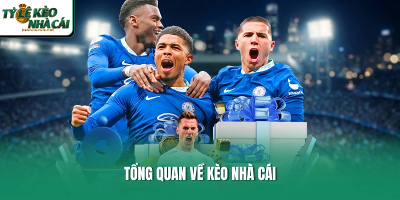 Tổng quan về website Kèo Nhà Cái
